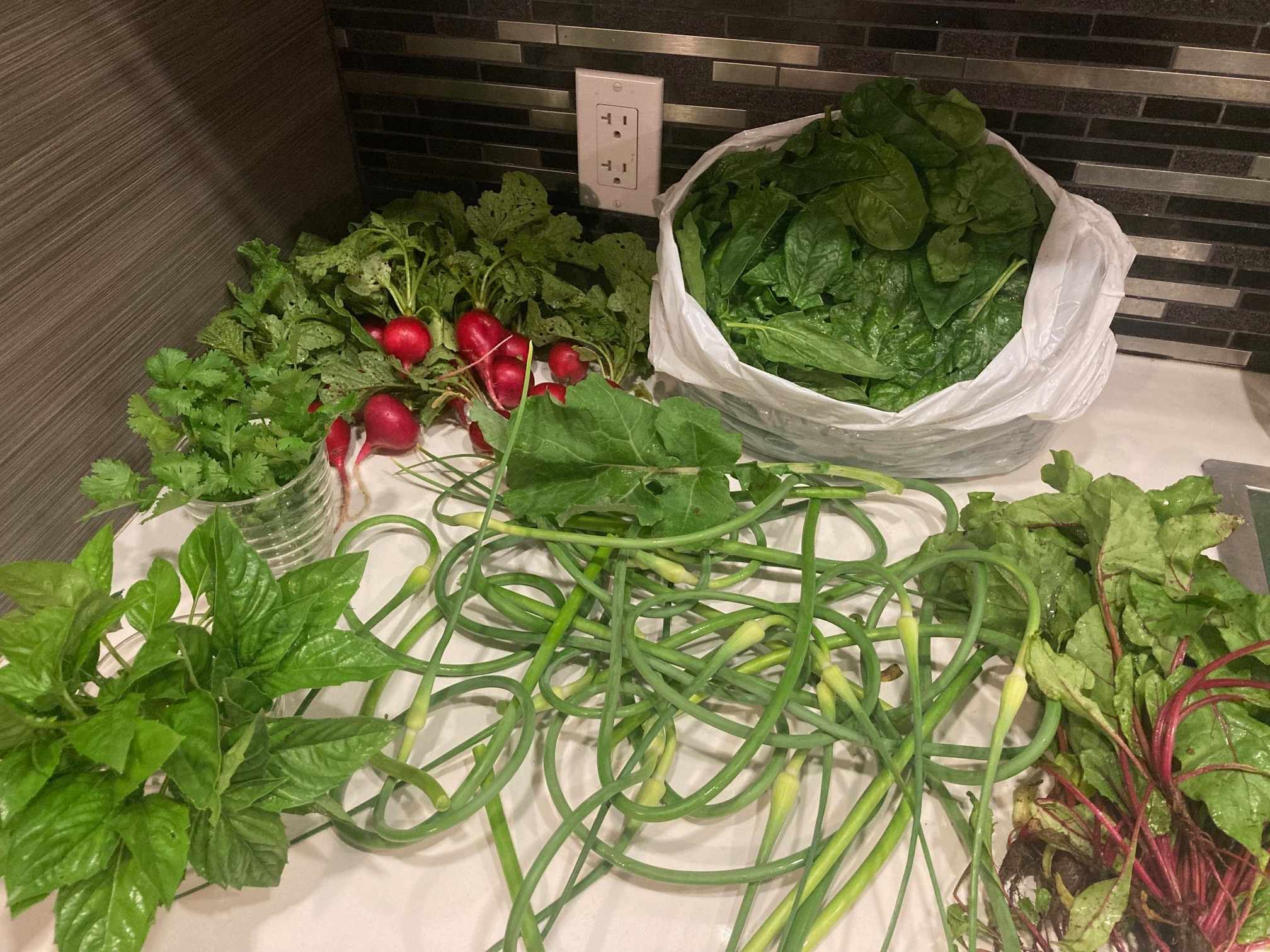 Part de récolte, Collectif Végé 2025