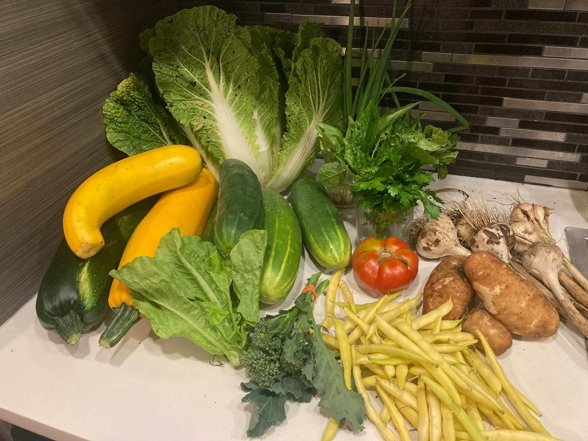 Part de récolte, Collectif Végé 2025