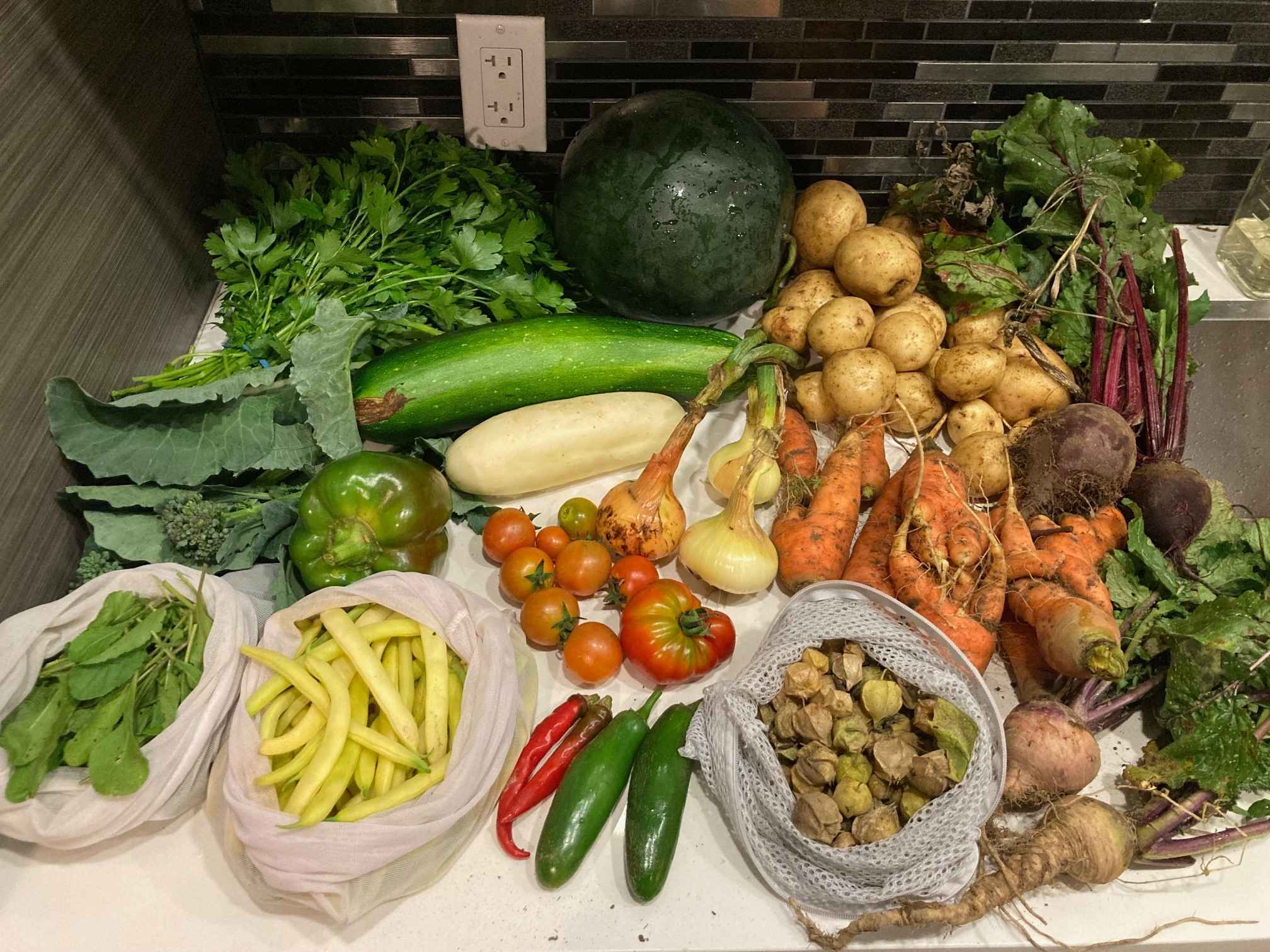 Part de récolte, Collectif Végé 2025