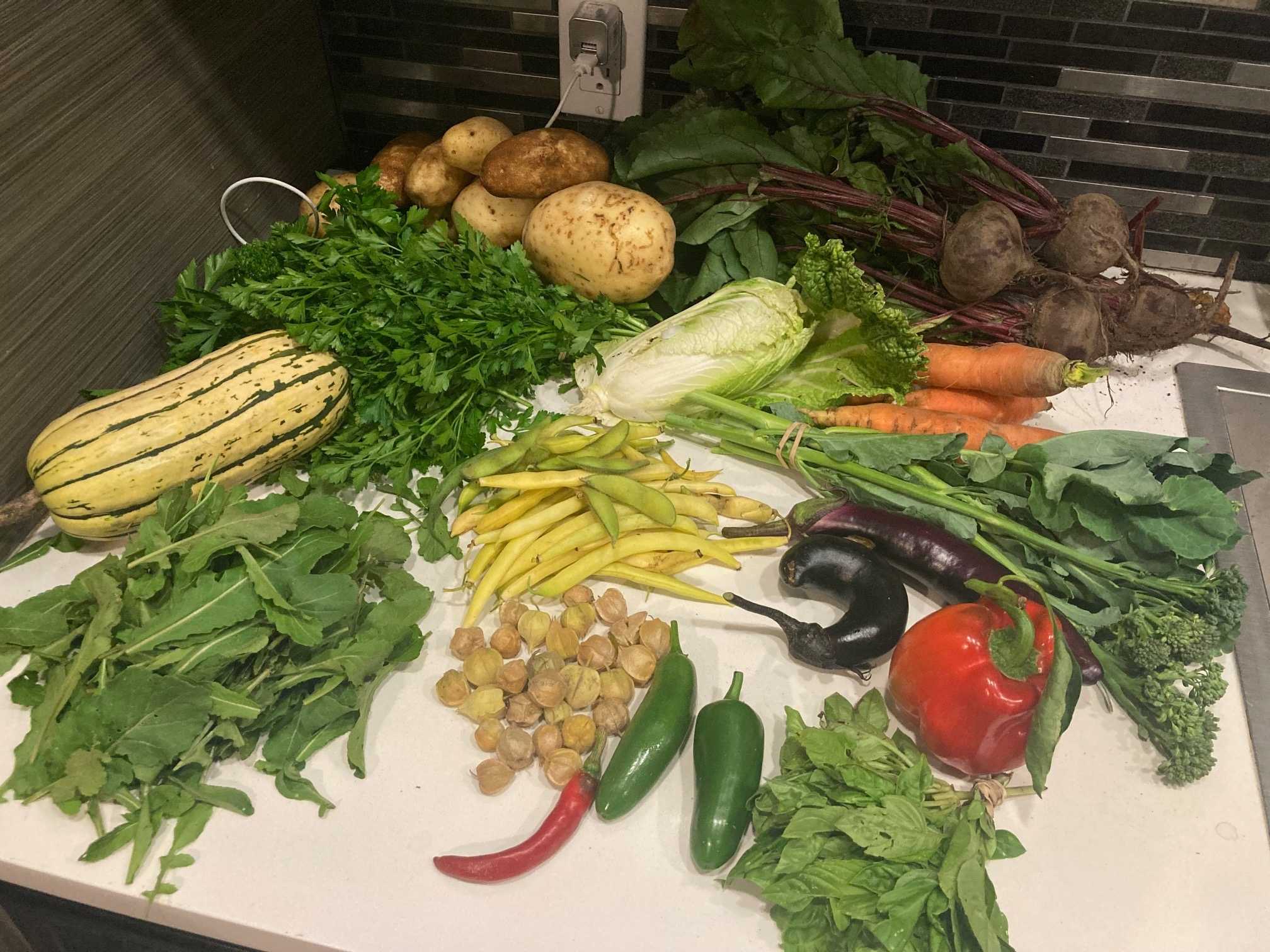 Part de récolte, Collectif Végé 2025