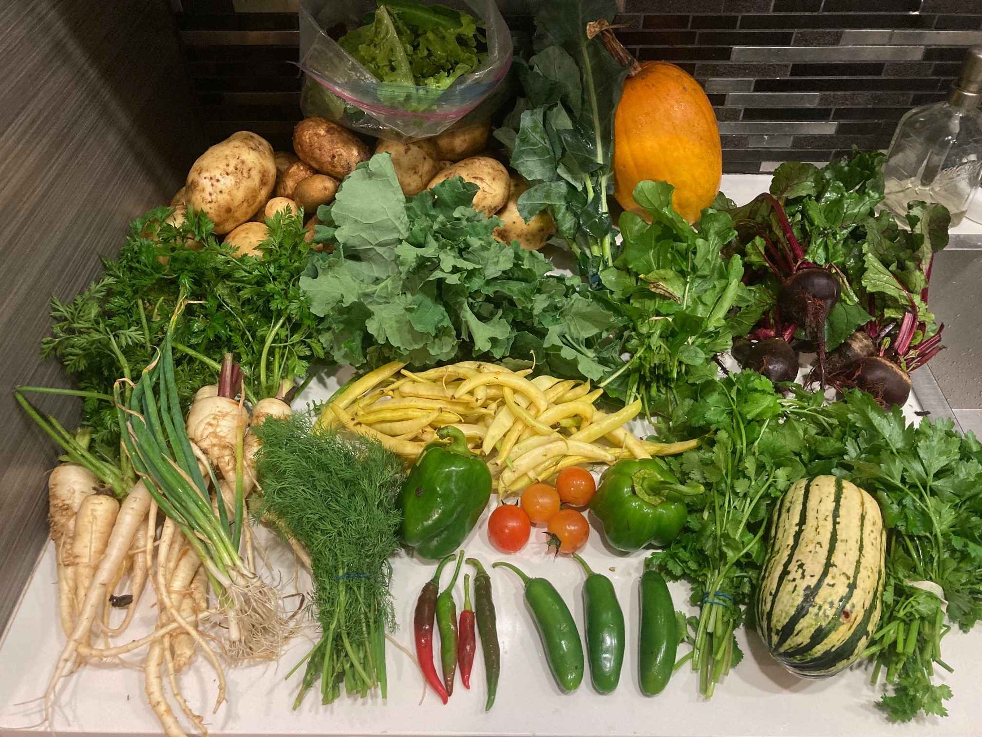 Part de récolte, Collectif Végé 2025